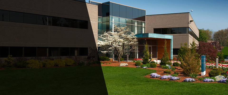 Snohomish Landscapers