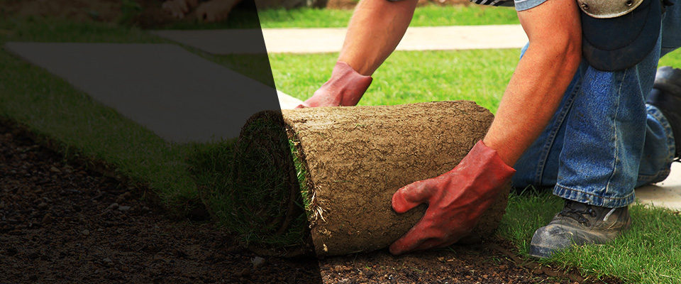 Snohomish Landscapers